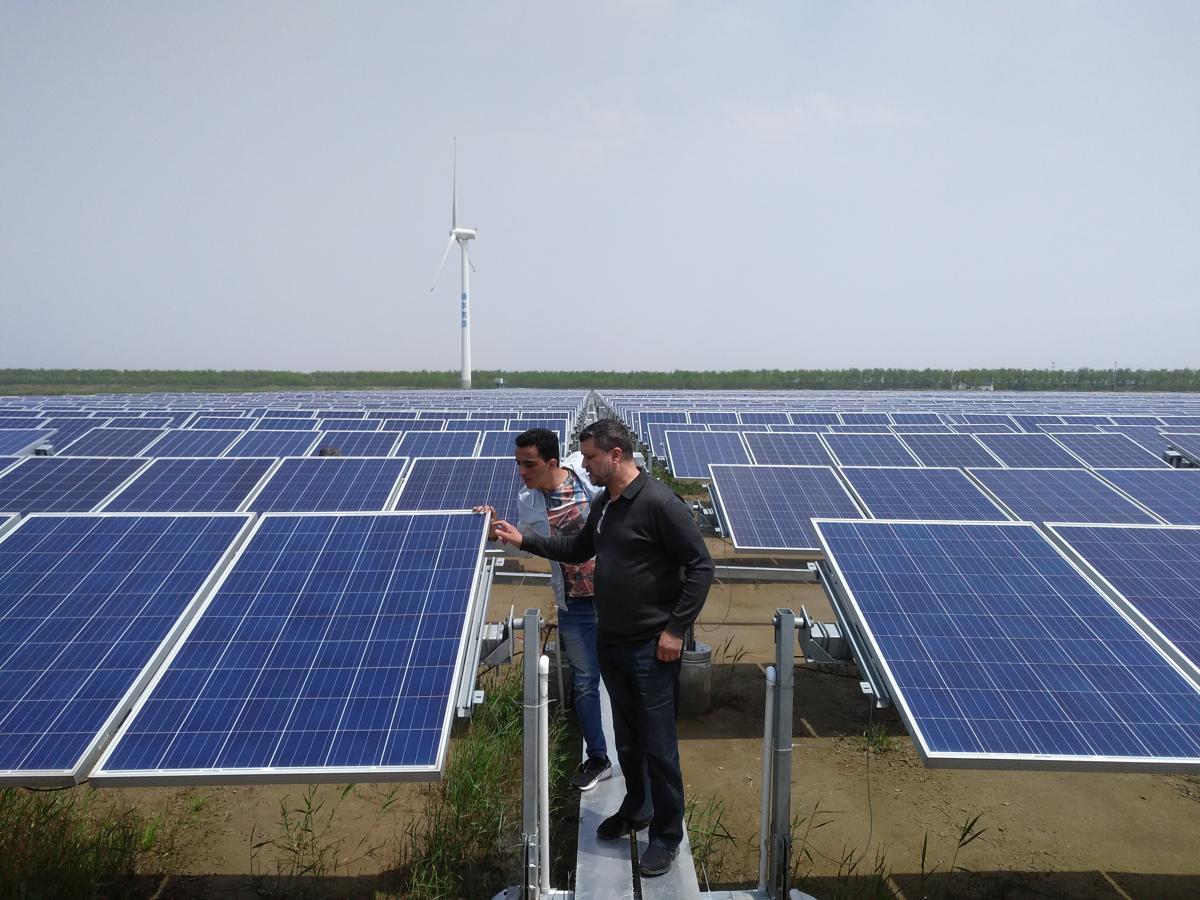 الجزائر‎ al-Jazāʼir Algérie company visiting china  solar panel factory and solar farm 